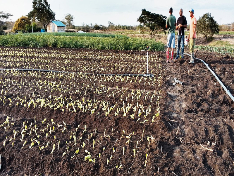 Campesinos palmeros protagonistas también en el movimiento de agroecología