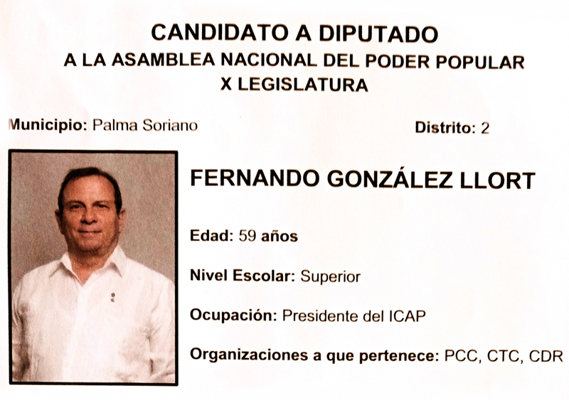Fernando Gonzalez Llort 800