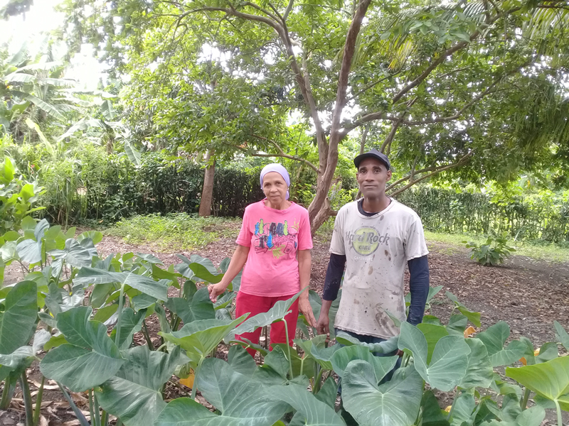 En “El arroyito” las manos de un matrimonio producen alimentos orgánicos