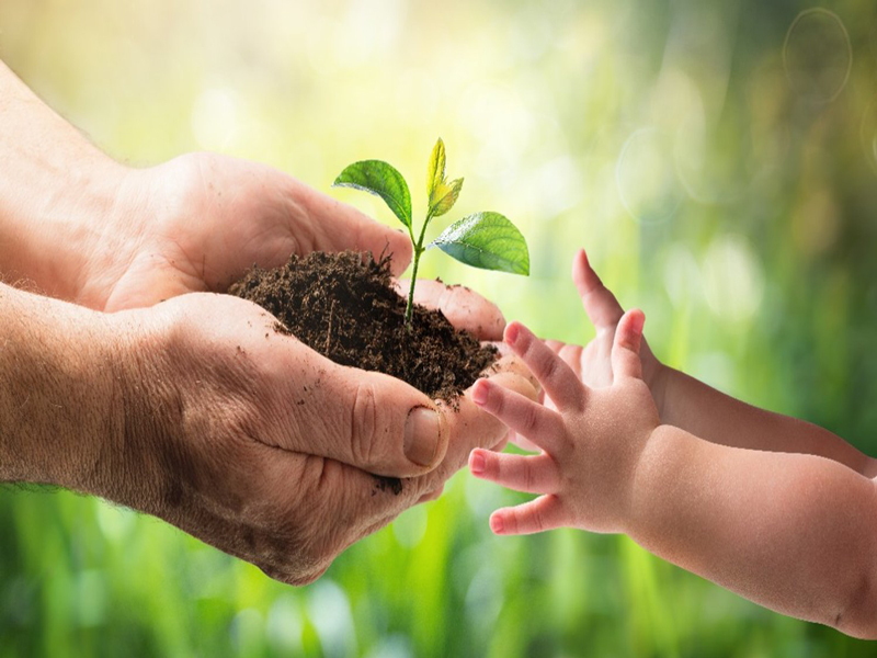 Llamado permanente: Sembrar conciencia para cuidar el medio ambiente!