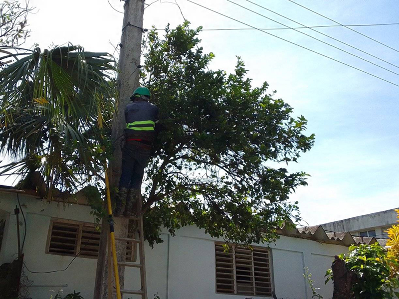 Eléctricos palmeros laboran sin descanso tras el paso del huracán Melissa