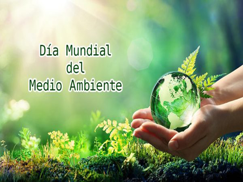Cuidar el medioambiente responsabilidad de todos