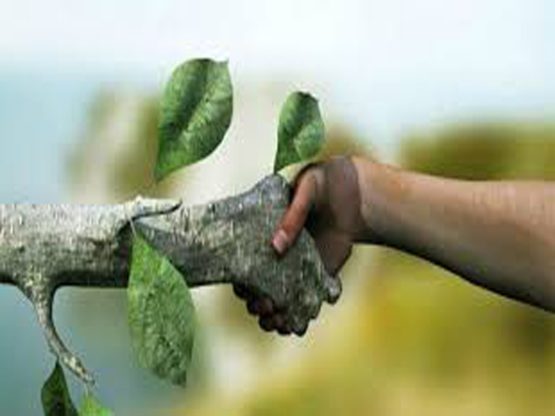 Asegurar armonía entre la naturaleza y el hombre